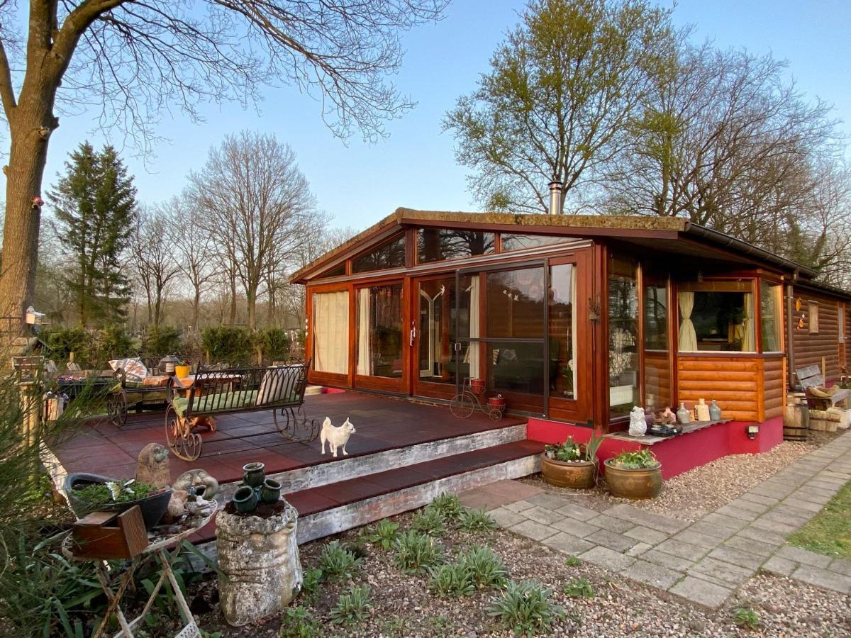 Chalet De Kleine Eekhoorn Lage Mierde Exterior photo
