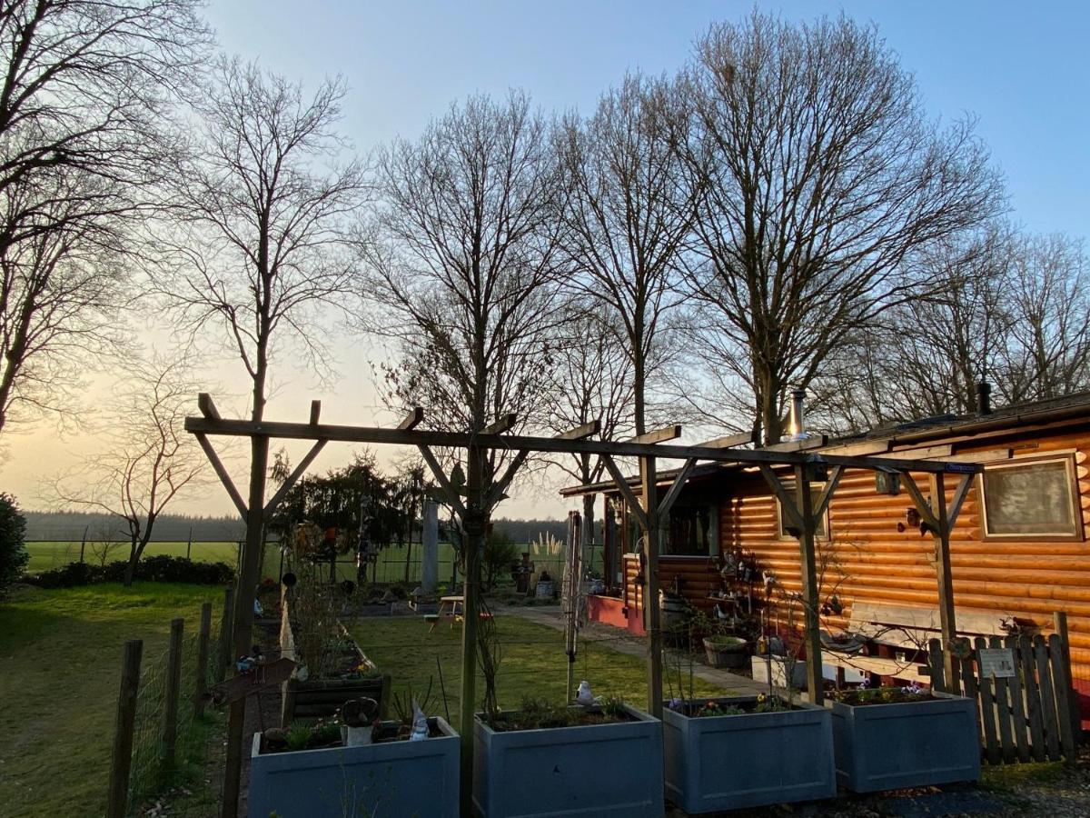 Chalet De Kleine Eekhoorn Lage Mierde Exterior photo